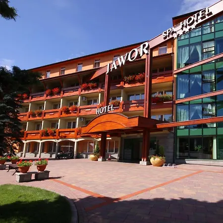 Jawor Jaworze