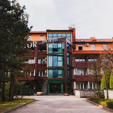 Jawor Jaworze